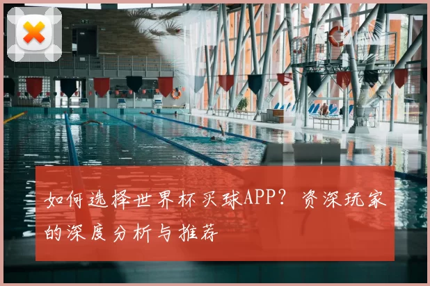 如何选择世界杯买球APP?资深玩家的深度分析与推荐