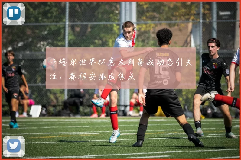 卡塔尔世界杯意大利备战动态引关注,赛程安排成焦点