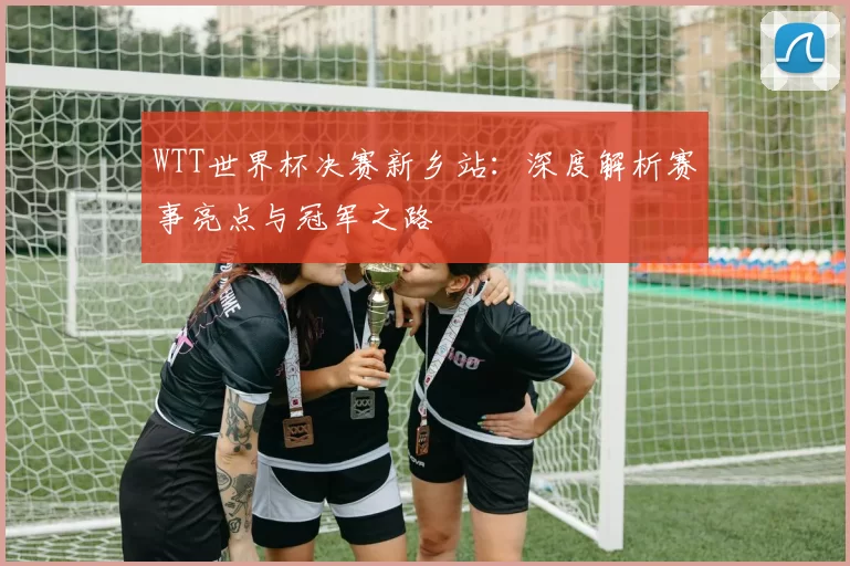 WTT世界杯决赛新乡站:深度解析赛事亮点与冠军之路