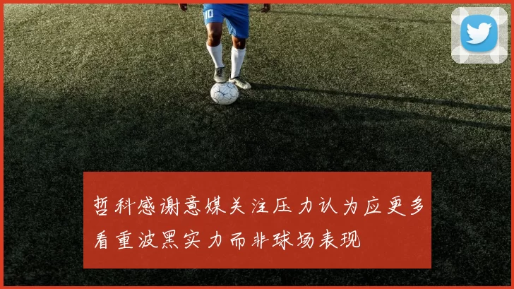 哲科感谢意媒关注压力认为应更多看重波黑实力而非球场表现