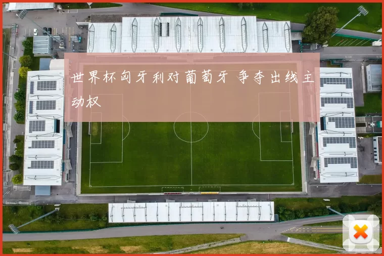 世界杯匈牙利对葡萄牙 争夺出线主动权