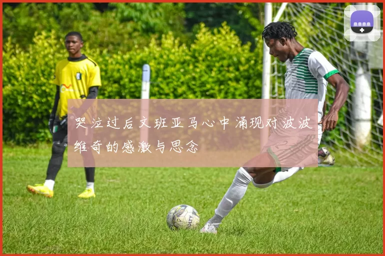 哭泣过后文班亚马心中涌现对波波维奇的感激与思念