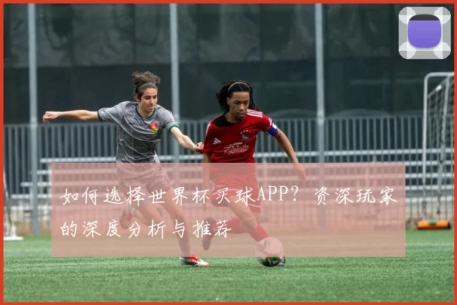 如何选择世界杯买球APP?资深玩家的深度分析与推荐