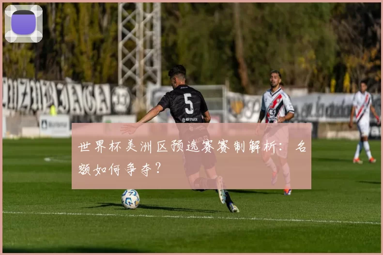 世界杯美洲区预选赛赛制解析:名额如何争夺?
