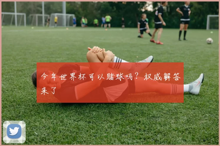 今年世界杯可以赌球吗?权威解答来了