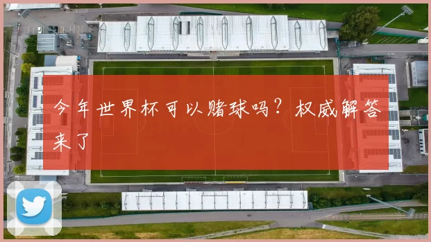 今年世界杯可以赌球吗?权威解答来了