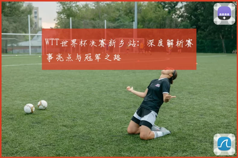WTT世界杯决赛新乡站：深度解析赛事亮点与冠军之路
